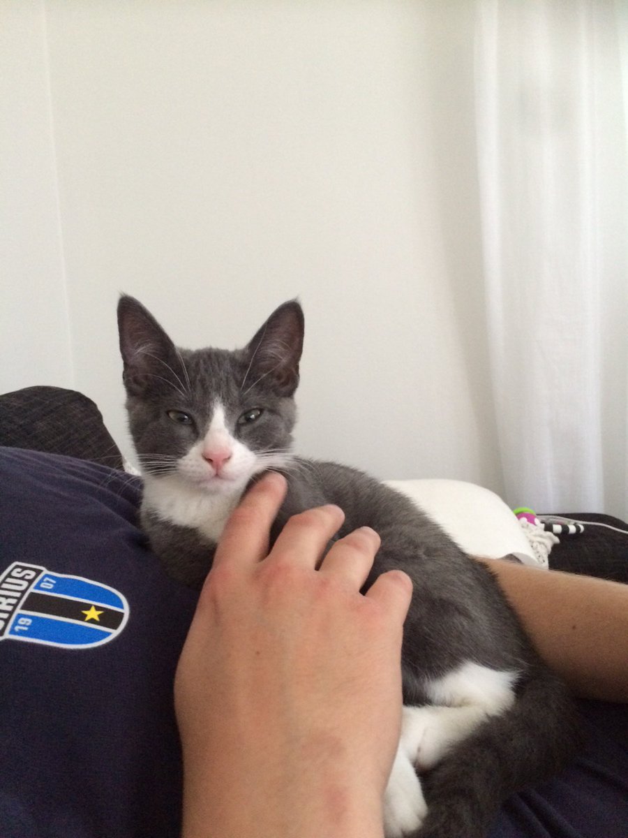 Jimmy Helmersson tweet media