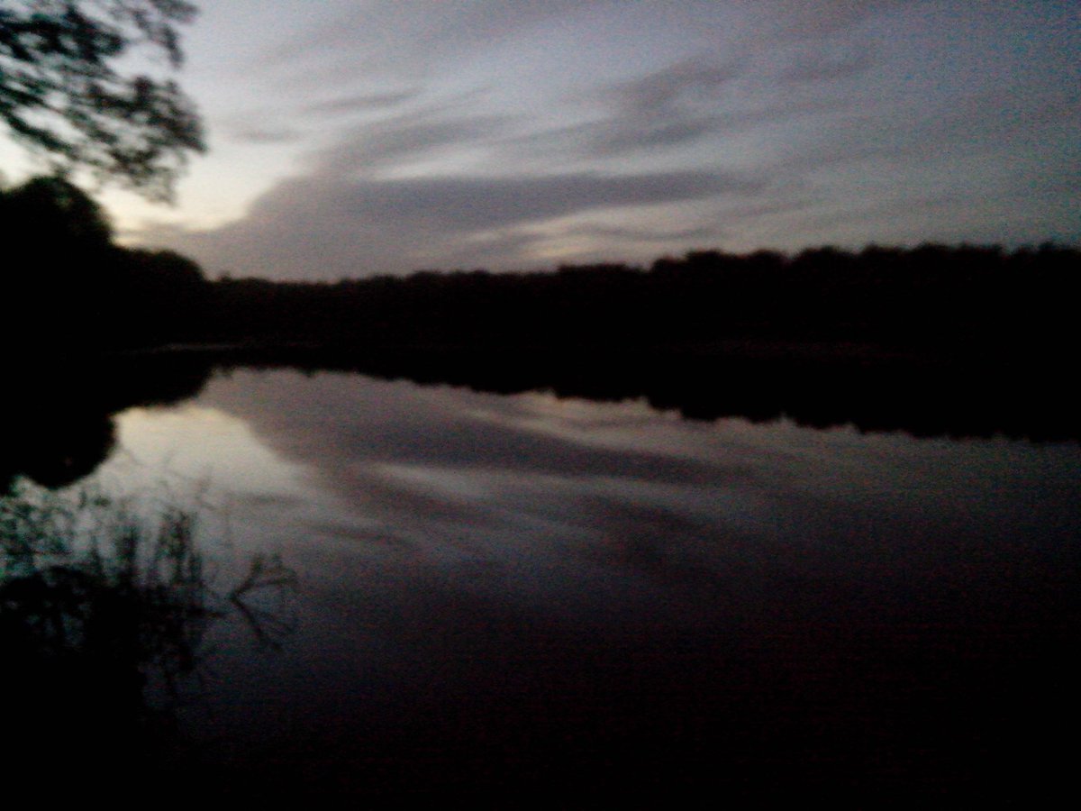 Анастасия Шульгина. (@SHULGIINA) | Twitter