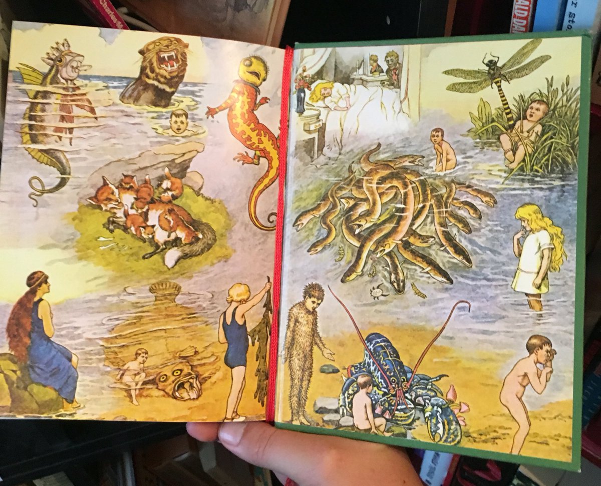 I found the world's MOST AMAZING ENDPAPERS in a 1928 edition of "The Water Babies".