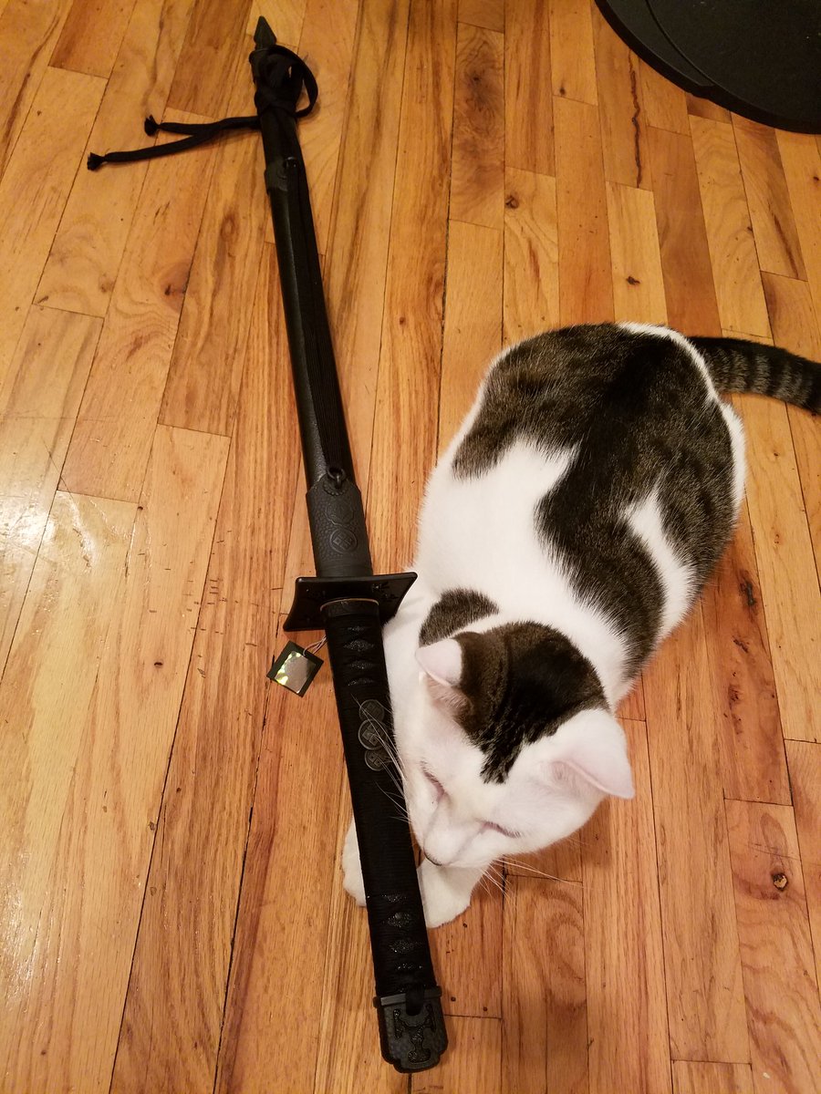 RedRum26's tweet photo. Butterbean is a Ninja at heart ♥ #NinjaTo #Sword #SharpAsHell https://t.co/m8t8rIUHSR