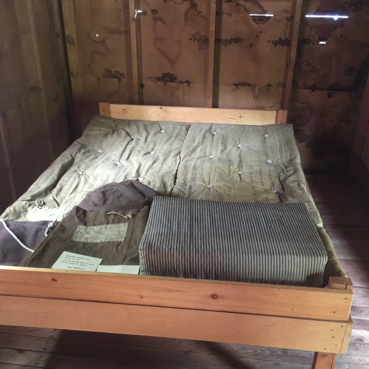 Leyton Schnellert tweet media