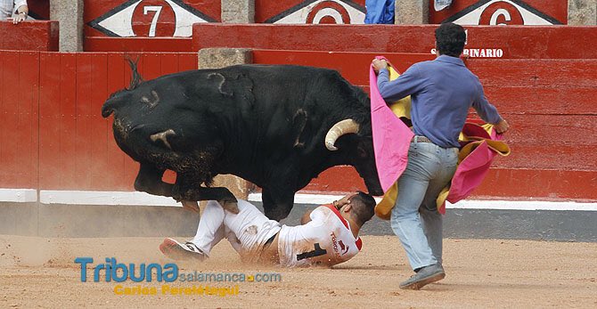 arturosanpelayo's tweet photo. Hace casi 1año mquitaste 1toro dencima n Salamanca ,hoy has vuelto a dmostrar lo buen director d lidia q eres.M.A.S https://t.co/TbtlgOjRrv