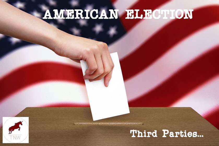 Aditya Dabral on the American election and why voting for third parties may be inefficient: thenewword.co.uk/whsts/american…