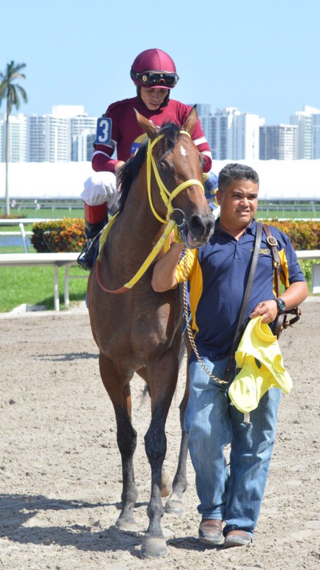 GulfstreamPark's tweet photo. Grandma Maria takes race 8, 2nd win today for @JaramilloJockey - @jarracingstable duo! #GulfstreamPark https://t.co/9e9L2ptUcP
