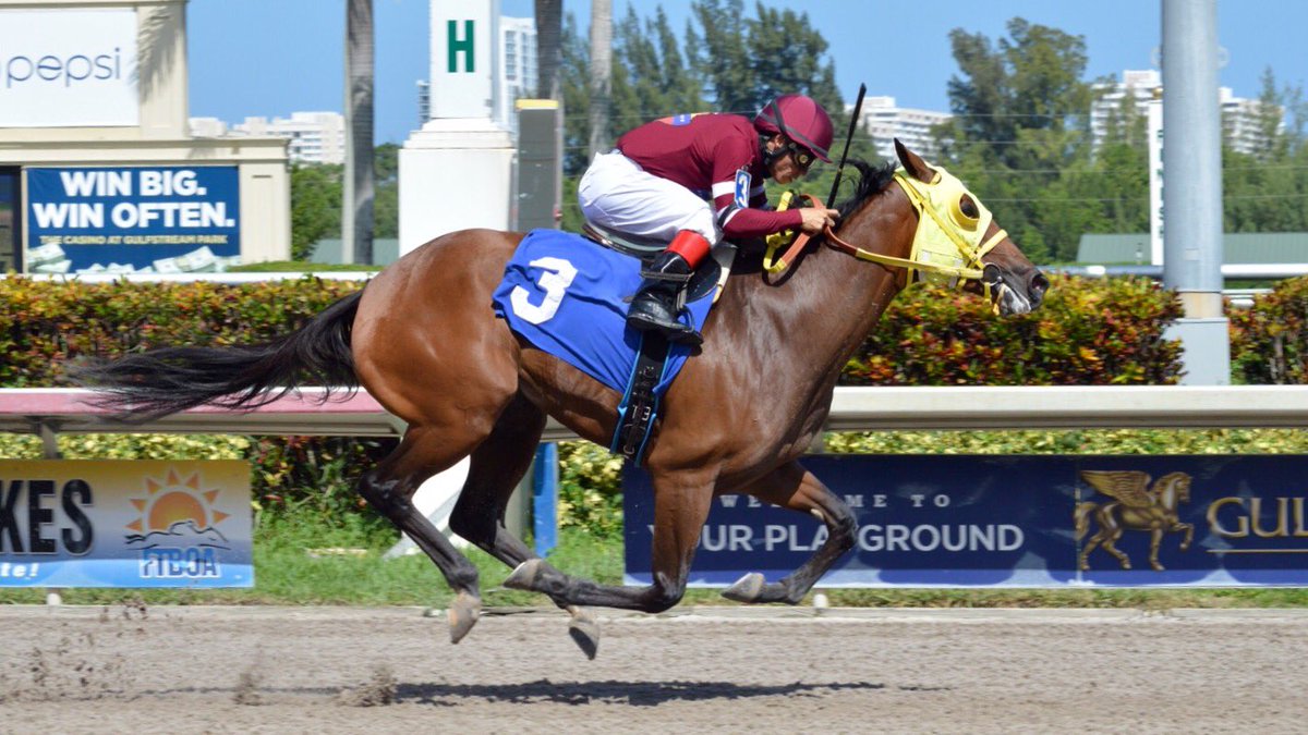 GulfstreamPark's tweet photo. Grandma Maria takes race 8, 2nd win today for @JaramilloJockey - @jarracingstable duo! #GulfstreamPark https://t.co/9e9L2ptUcP
