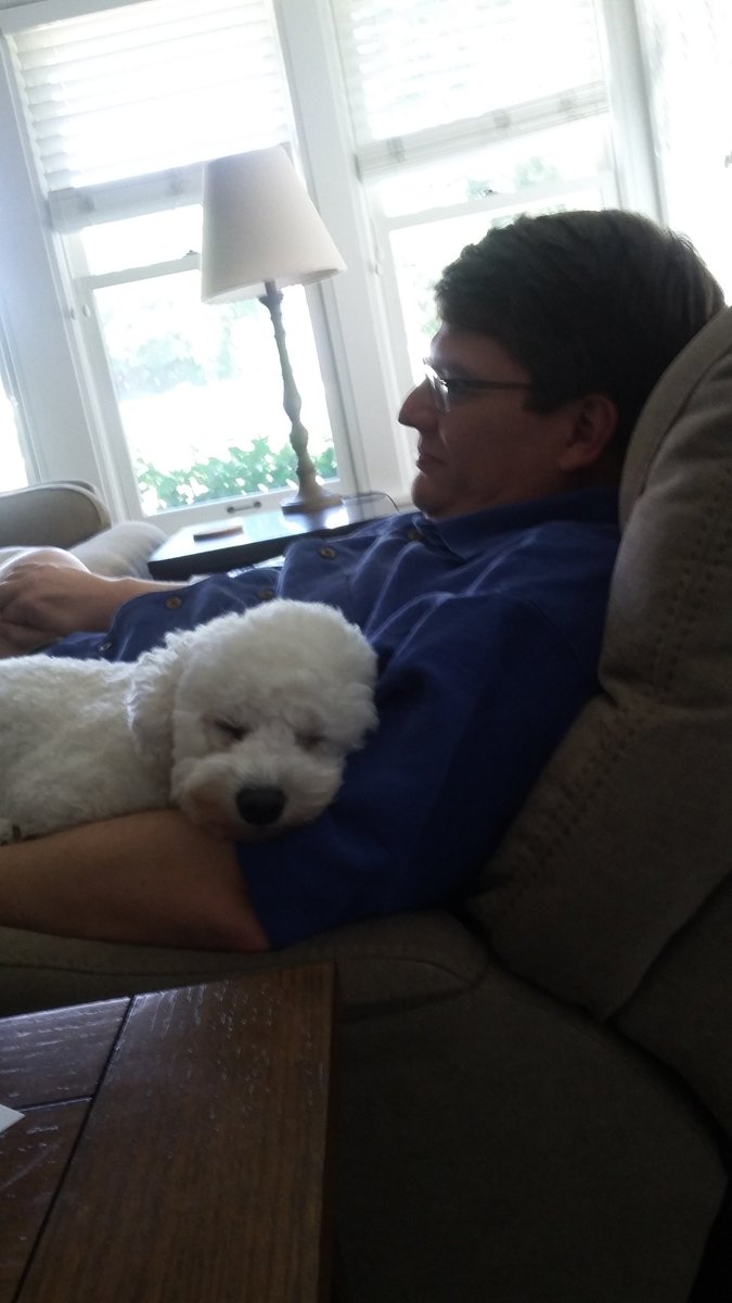 ThePirateGriff's tweet photo. Napping with dad, now that's a good Saturday. https://t.co/gLZmmjIi6A