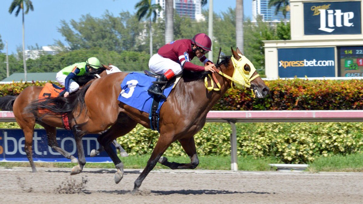 2nd victory today for <a href="/jarracingstable/">J.A.Rodriguez Racing</a>!
Grandma Maria scores in the 8th at <a href="/GulfstreamPark/">Gulfstream Park</a> , <a href="/JaramilloJockey/">Emisael Jaramillo</a> up!