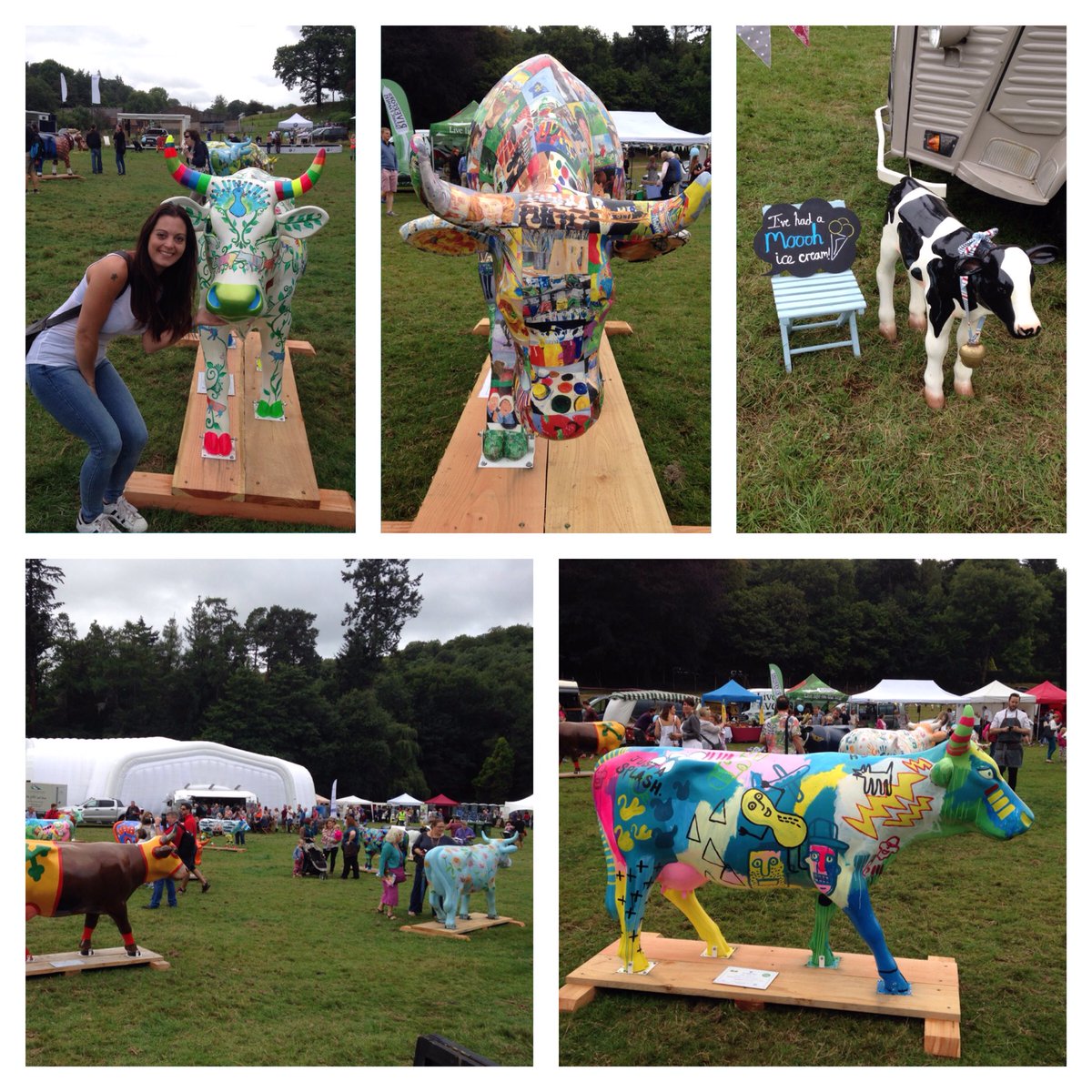 traceypolefit's tweet photo. Such a great day @CowParadeSurrey #surreyhillsfest 3 new moos &amp; a mini moo hunt 😃 #awesome #cowselfie #surreylife 🐮🐮 https://t.co/pSfsaIqaPh