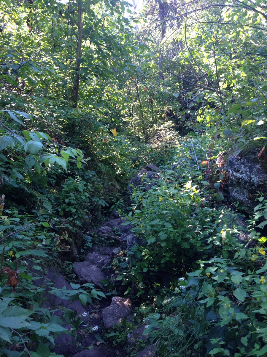 JJ_behemoth's tweet photo. Beauty day on the trails at Rattlesnake @BruceTrail_BTC with the best @GP8OxygenWater #GP8 https://t.co/SwWhkHYOvK