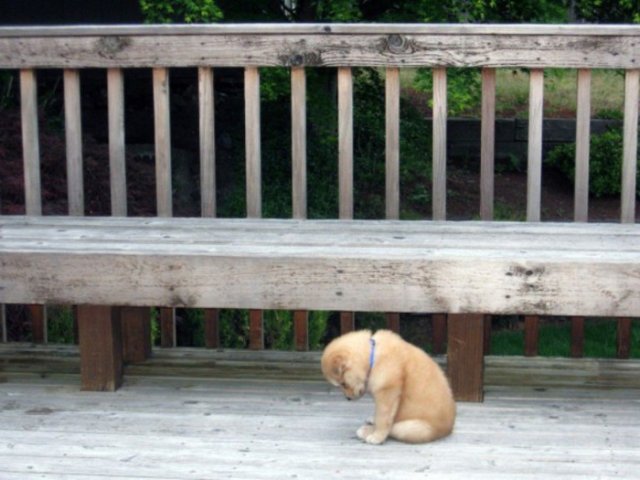 whatalottapizza's tweet photo. When you forget your leftovers. https://t.co/9HPEQ7JcGB