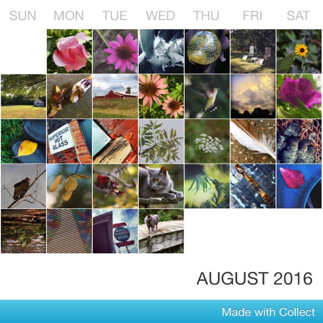KayMDavid's tweet image. Sampling of Photography from August 2016...