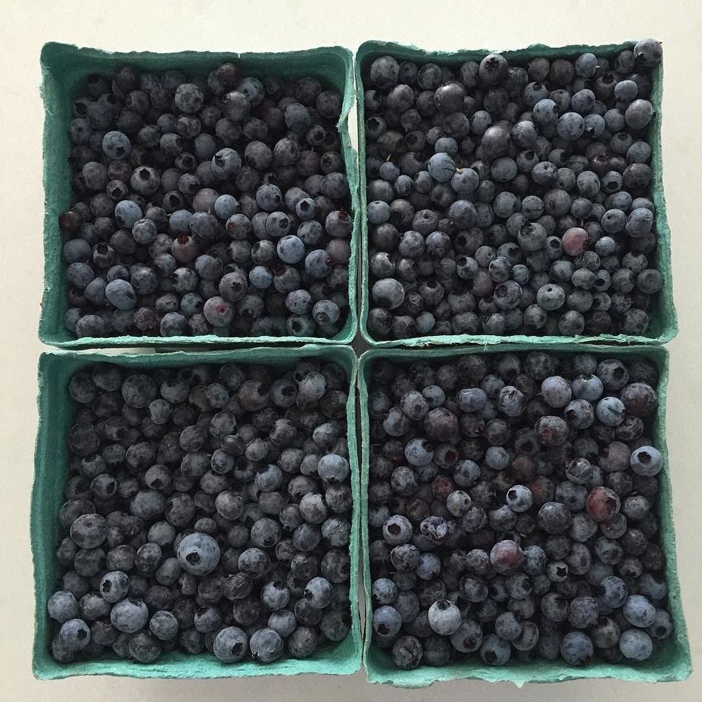 StephanieZED's tweet photo. Best #maine #souvenir #wildblueberries https://t.co/xsSflJmz32 https://t.co/khNpfXlvb2