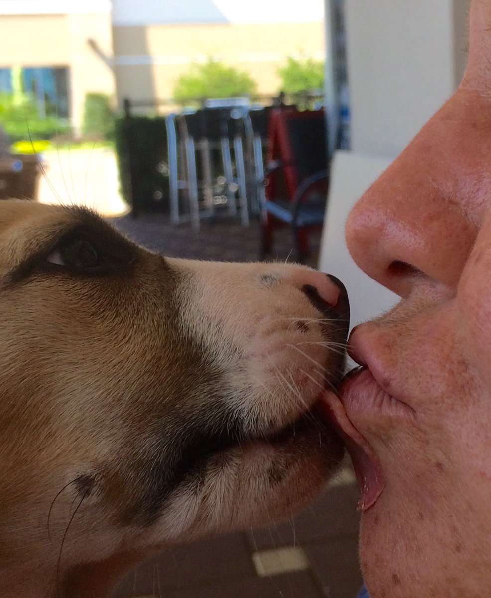 WendyMichelleC's tweet photo. Because at #99CentBar, you can also make out with dogs. πΎπ
β€οΈ https://t.co/GyM5X9C1JW