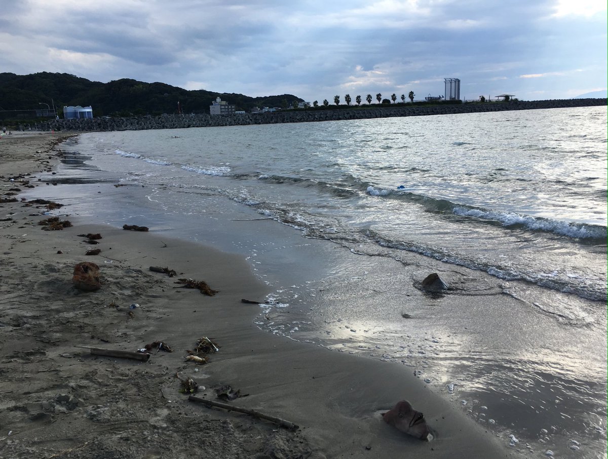 bluntboutique's tweet photo. when you wanna leave the beach but the blunt was too strong .... #tokedout #weed #dab #blazed #ganja #budder https://t.co/S1cohjqgO7
