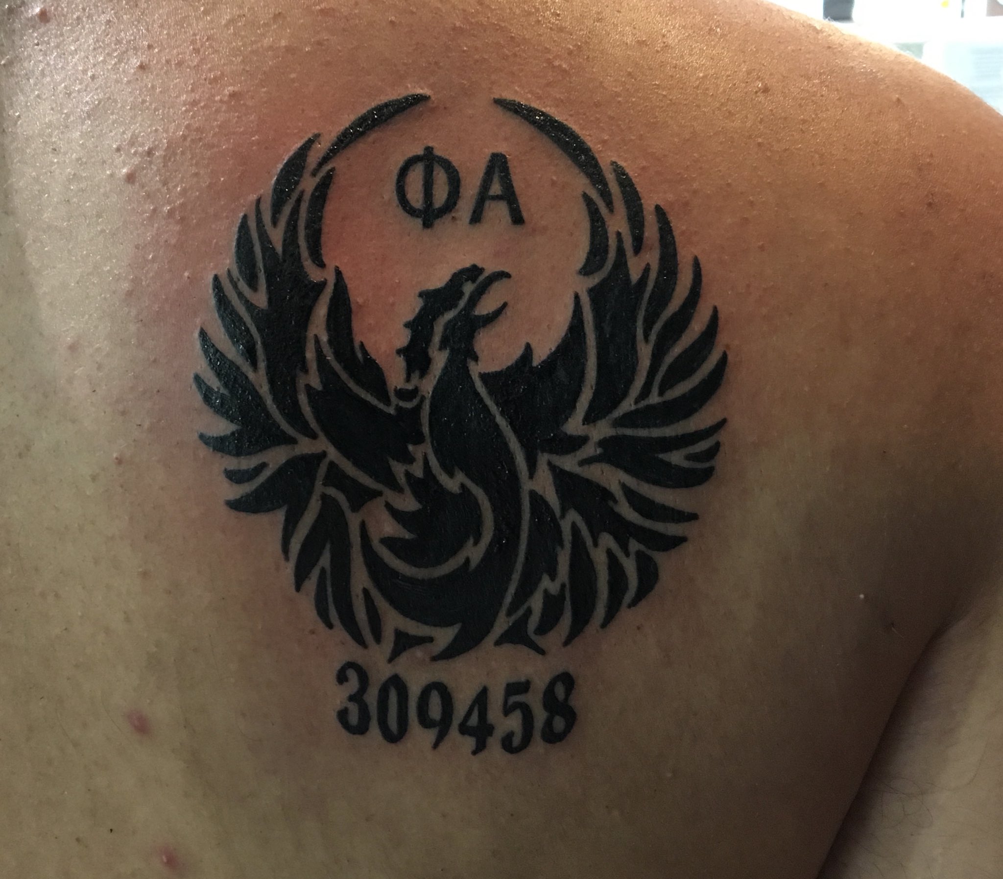 Cruz on X: "My first tattoo, because my fraternity and my brothers have helped me get to where I am today #SAE #ΦΑ #Phoenix https://t.co/bZXnsOAt51" / X