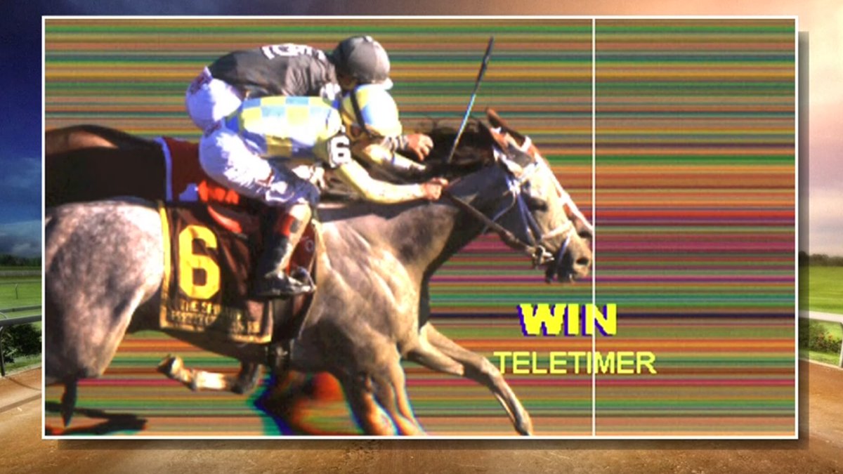 dead-heat horse racing betting calculator dead-heat horse racing betting calculator