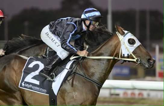 BlueMoonRacing's tweet photo. Ultimate Doom racing today R9 @ Hobart, best of luck 2 all connections. @_jen6 @LauristonTbred @Bruntonracing https://t.co/t7cnoLSsax