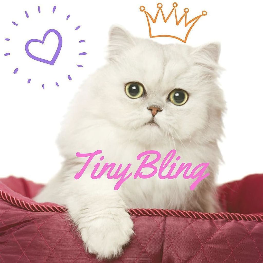 tinyblingbling's tweet photo. Kitty Couture 👑😻😽. Tag a Friend #persiancat #persian #persianlife #persiangirl #shorthairp… https://t.co/HftLW0ufit https://t.co/FyVVDqxjhL