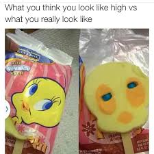 WeedlsLife's tweet photo. Reality lol

#WeedlsLife https://t.co/nkNdEtrojT