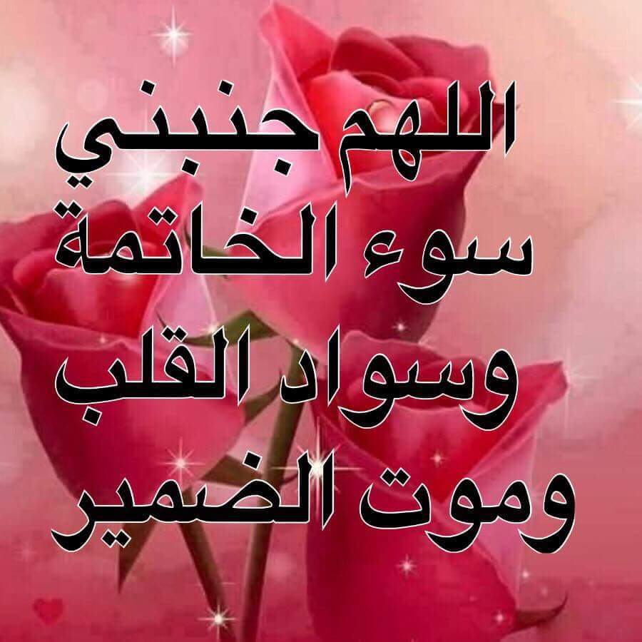 salah yaseen (@salahyaseen26) on Twitter photo 