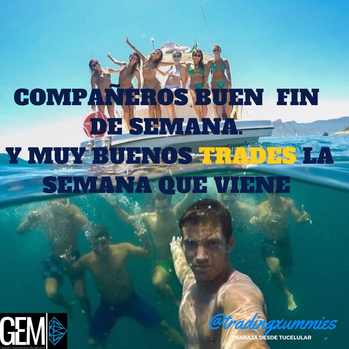 Tradingxdummies's tweet photo. Haciendo Dinero desde mi Celular. #forex,#gem,#90diasdeenfoque#dia85#retoclub100,#retoclub500,#reto6cifras,#reto4k https://t.co/Zu9vmefofs