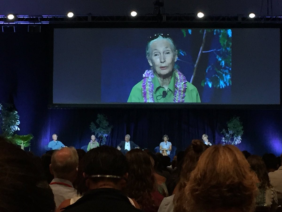 nickgrube's tweet photo. "We haven't inherited the planet from our parents. We borrowed it from our children." -- Jane Goodall #IUCNCongress https://t.co/lq26U8RaMG