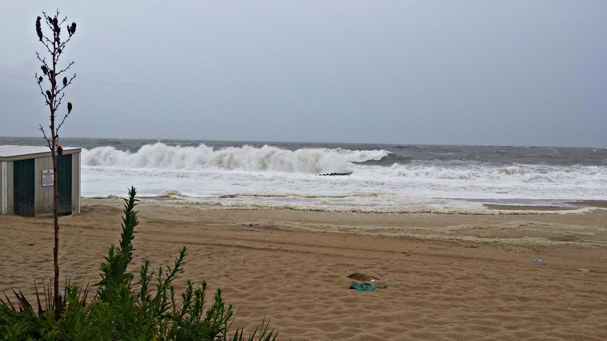 Southern Delaware Tourism tweet media