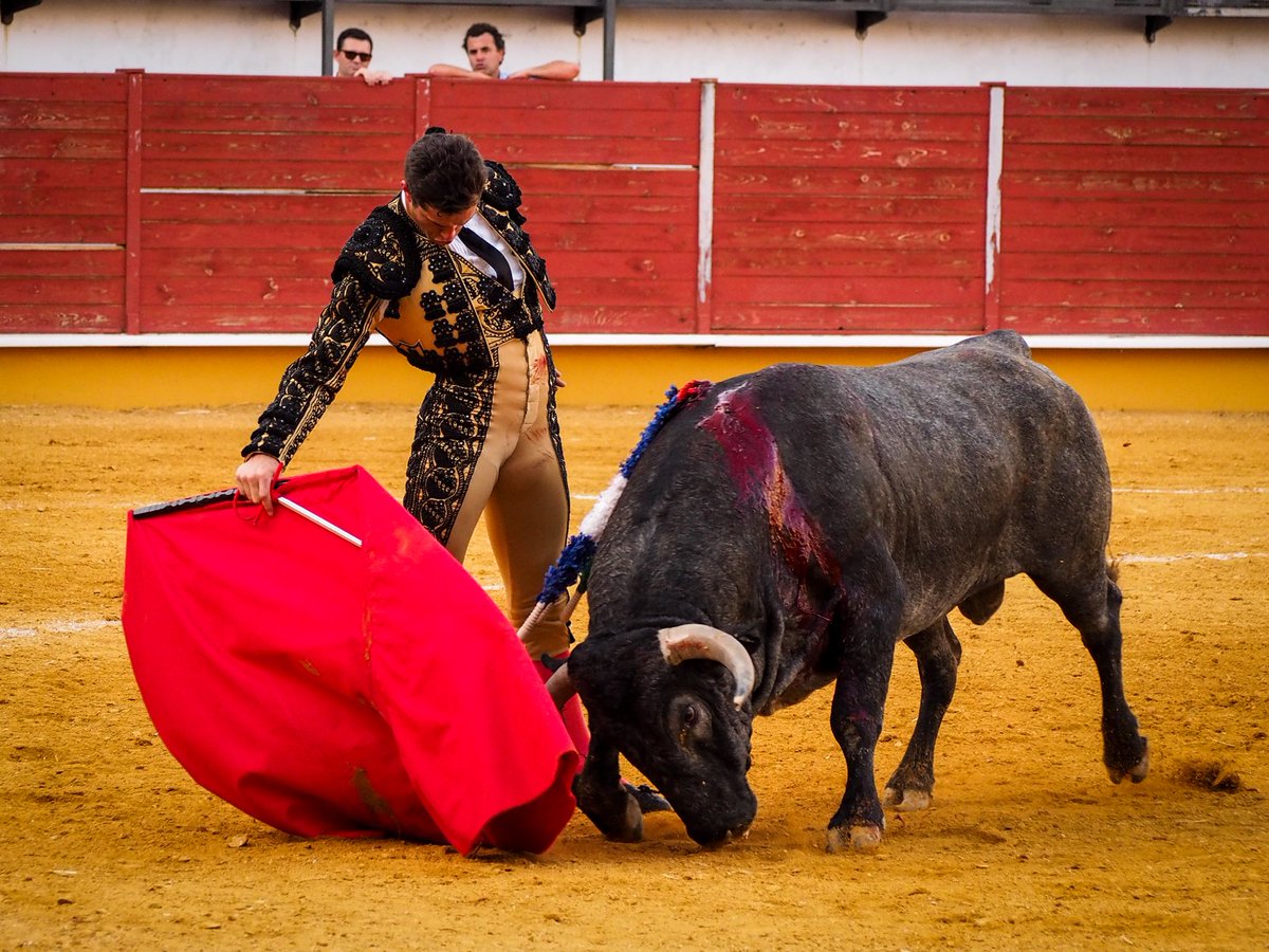 InfoDanielLuque's tweet photo. #SIALOSTOROS TRIUNFO DE DANIEL LUQUE EN PRIEGO DE CORDOBA
#TOROSSI #TOROS2016 https://t.co/0d51pAsG10