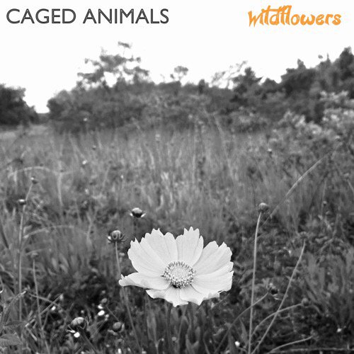 Check out the new single from Vin's other project Caged Animals on <a href="/hypem/">Hype Machine</a> mobile hypem.com/track/2j0qn