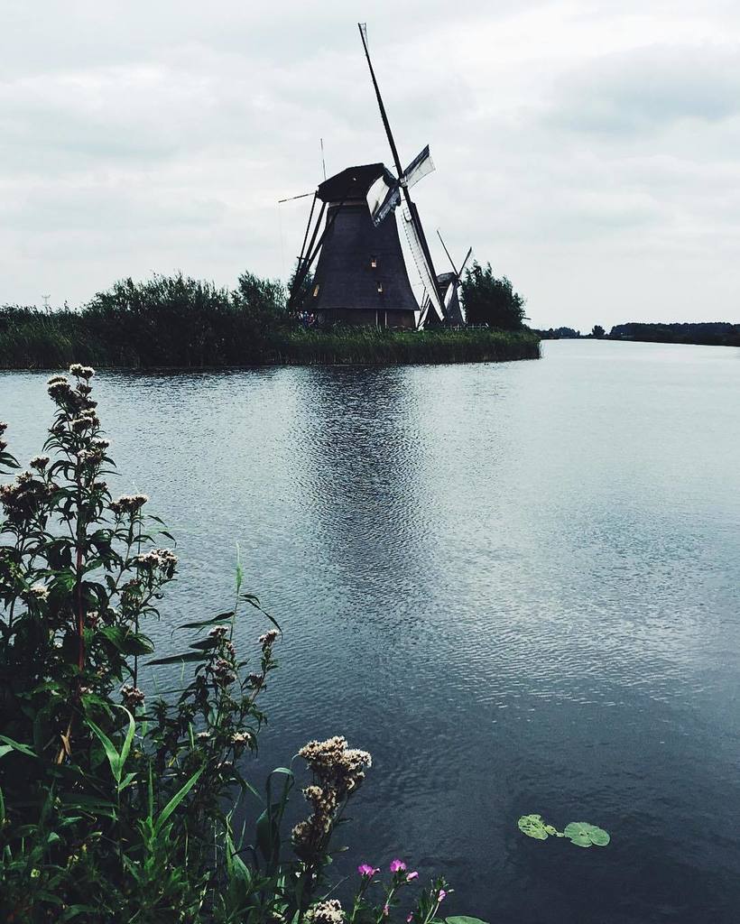 mandycakes17's tweet photo. 🇳🇱 https://t.co/VBeT04gcZB https://t.co/vmFmlG4Li2