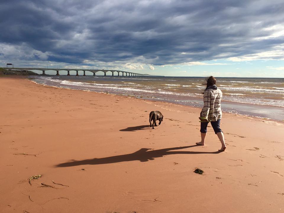 FullTimeCanada's tweet photo. Reason #121 to visit @JellystonePEI This beach is 5 minutes away by vehicle. #PEI #beaches #rvlife https://t.co/ZSOdB4hvfX
