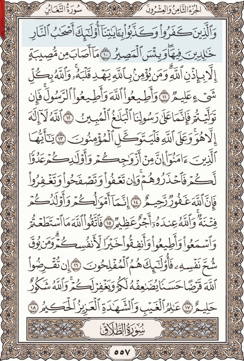 za9797's tweet photo. ~
اقرأوا وتدبَّروا .. ثمَّ رتويت من فضلكم 🌹
و لا تحرموا أنفسكم من الأجر !
#أجر_وغنيمة #قرآن
#يوم_الأحد  
#القرآن 
~ https://t.co/Nby1ZchjZq