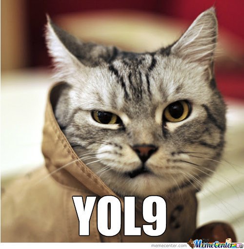SarCatStyX's tweet photo. @JHWalz32 1life gone #yol8 @nfulmer0827 @JadedByPolitics @GeraldYak420 @mikerzer @lupash7 @KCarslin @jwsnyder00_john https://t.co/BGixuDS8I9