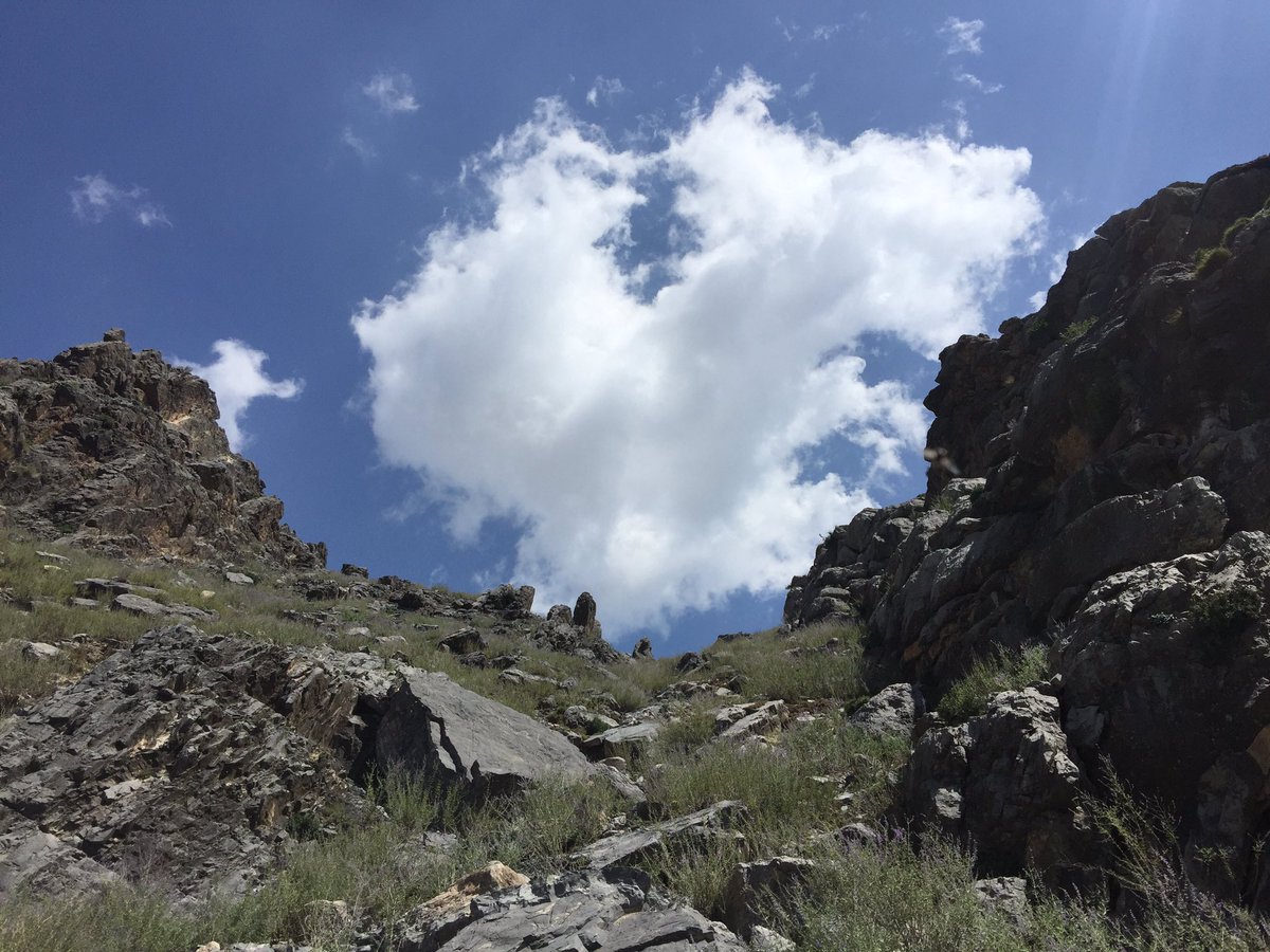 qadir_sediqi's tweet photo. Near #AFG-PAK border #Durbaba of #Nangarhar P of #Afg.
#mountains #rocks #cleanweather🍂🍁🌥 #sky #clouds☁ #hiking https://t.co/y0vuYbsnBA
