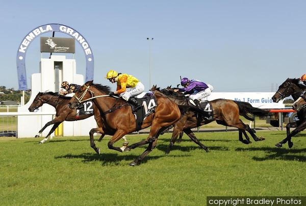 GrandSyndicates's tweet photo. #StableNews Last start winner Belle Voleur has returned to pre-training in NSW for Grant Allard! #StayerInTheMaking https://t.co/HuHQSQsOQy