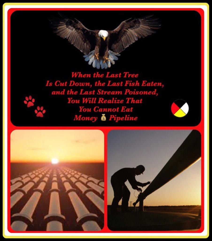 PegsLynch's tweet photo. When the Last Tree Is Cut, the Last Fish Eaten, the Last Stream Poisoned, U Will Realize That #You Cant Eat Money https://t.co/KxopcAmYMP