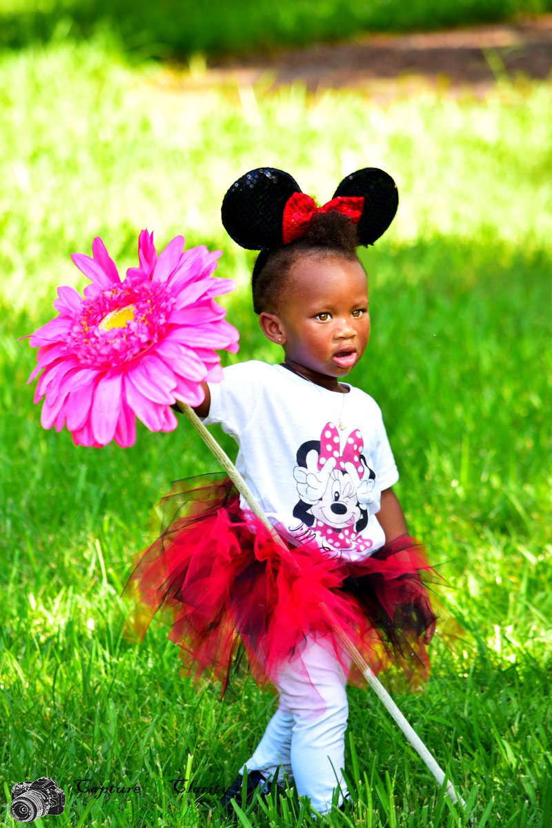 Capture N Clarity tweet media