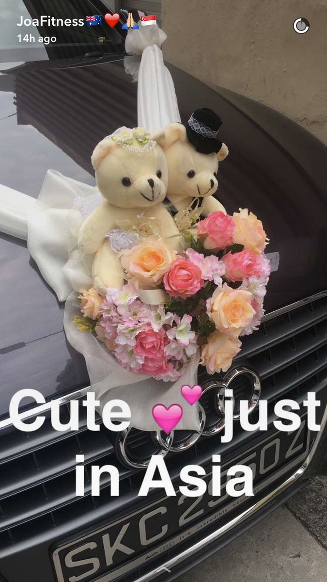 JoaFitness's tweet photo. Furry love ❤️🐻🐻 https://t.co/rkMupI09JA