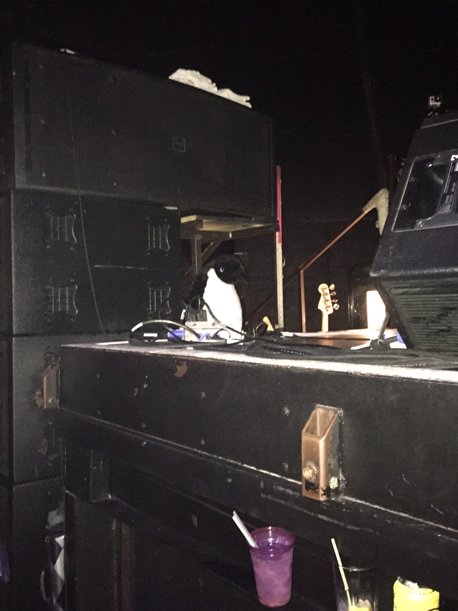 CreUVI3UIAA_Xom.jpg:large