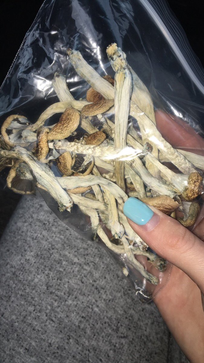 stonedexplorer's tweet image. 