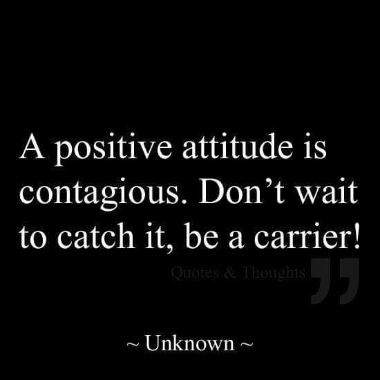 Tracyvannurden's tweet photo. https://t.co/gzkqww3mMJ
