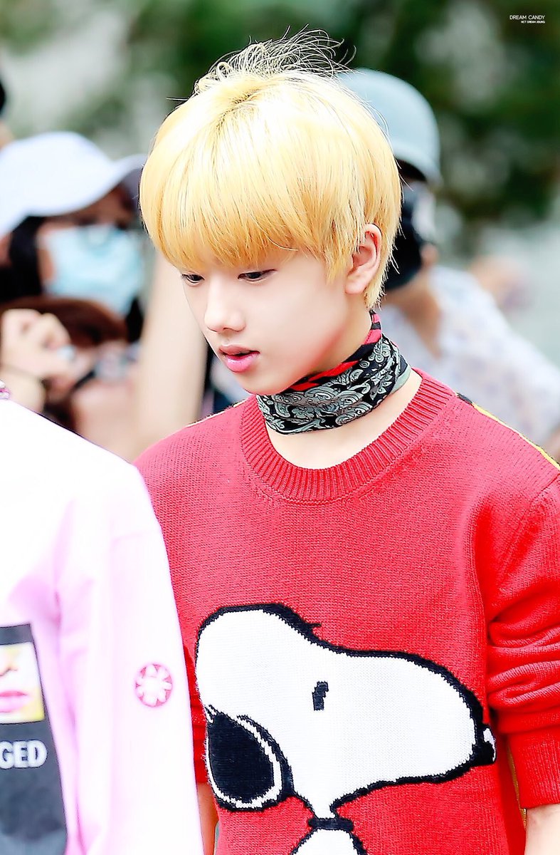 チソン溺愛(nct垢) 固定ツイrt (@nct_dream__jisu) | Twitter