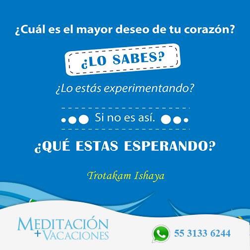 Trotakam's tweet photo. ¿Cuál es? https://t.co/2FF5Njoo8z