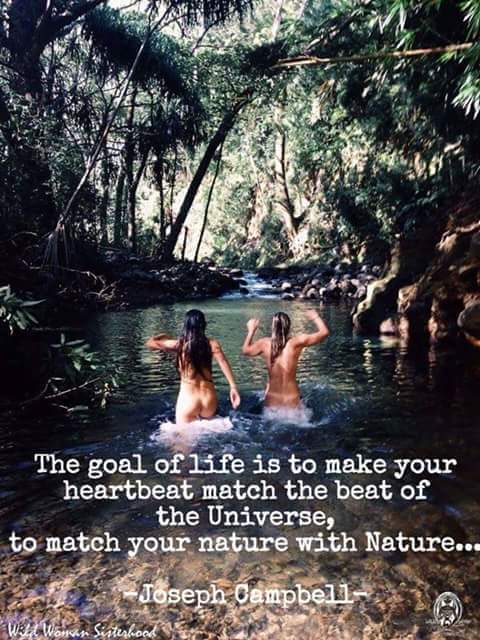 cobyroot's tweet image. 