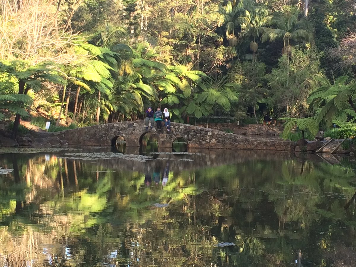 nadiachoka's tweet photo. Mt tamborine botanics garden and cedar creek, Gold Coast. #HeartTracking #NaddysView https://t.co/tCznU4lgbH