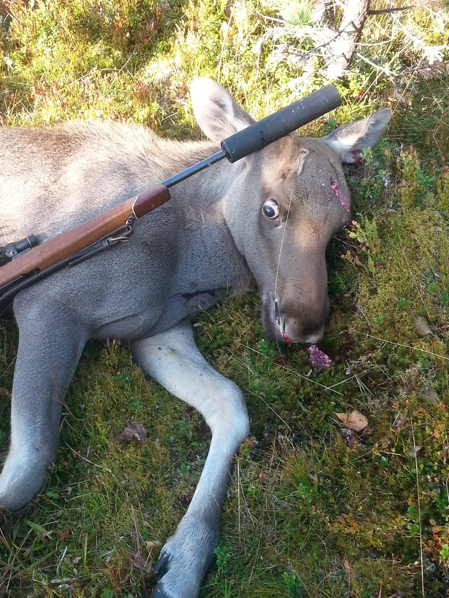 jakobdahlgren's tweet photo. @fridhalundberg den sparkar inte igen https://t.co/GFyEqTQu4K