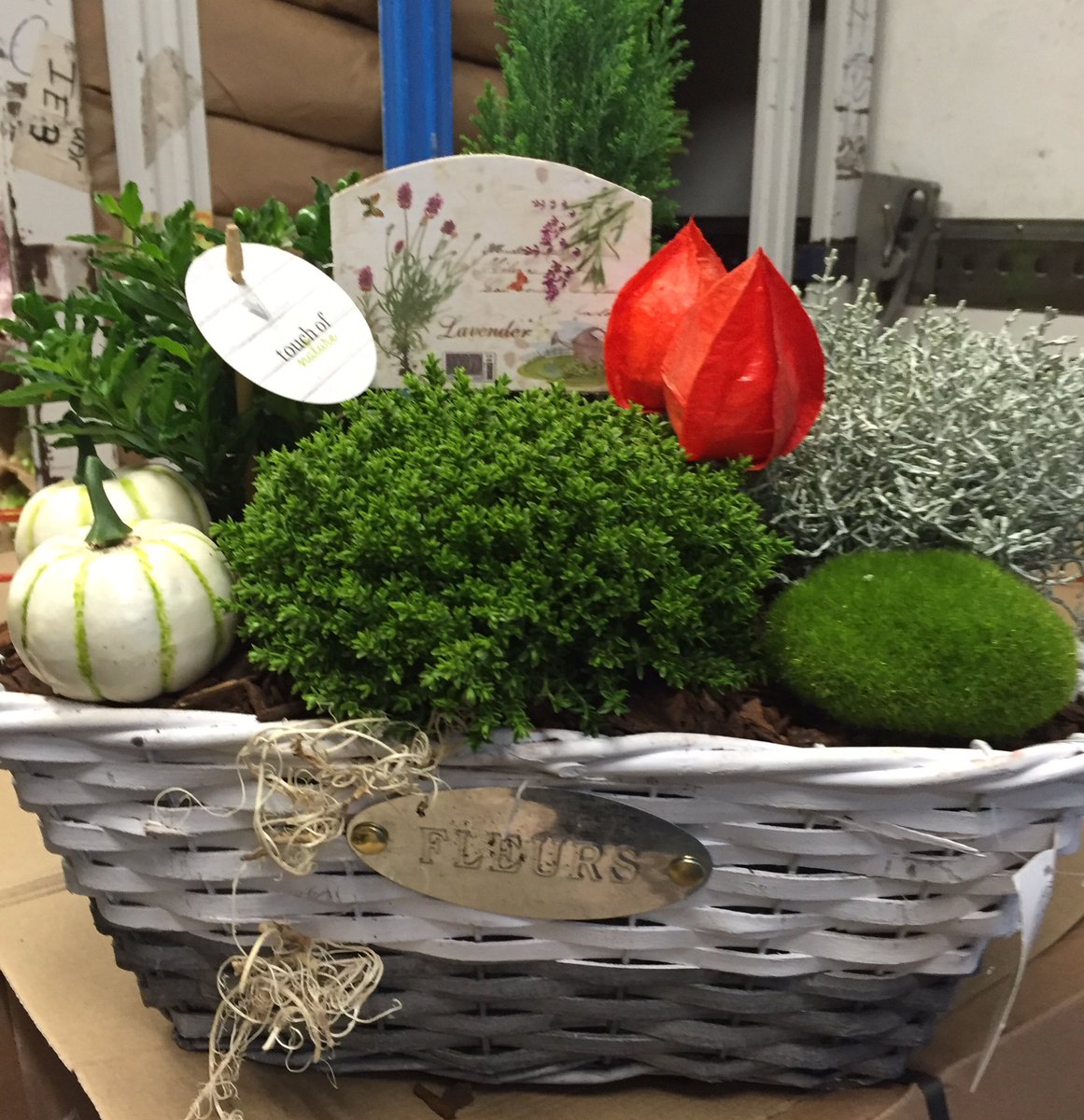 AFDFreshFlowers tweet picture