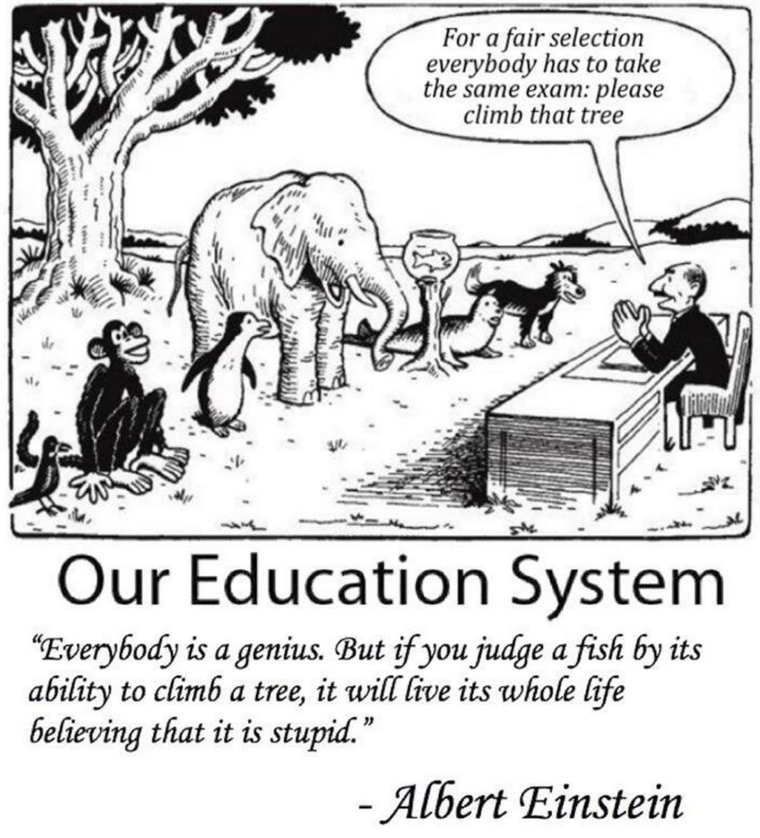 FionaByrne23's tweet photo. Everyone has different talents, interests, strengths &amp; weaknesses. 
#ACUCOMM140 #acuedu_p #aussieED #Not1SizeFitsAll https://t.co/90qI7gb7sP