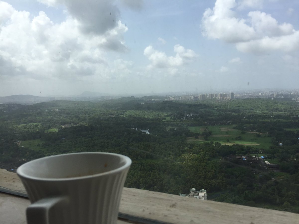 patindian's tweet image. Tea / sunny weather and perfect green view from home. #everythingmobile. Future is build on putting dreams to action