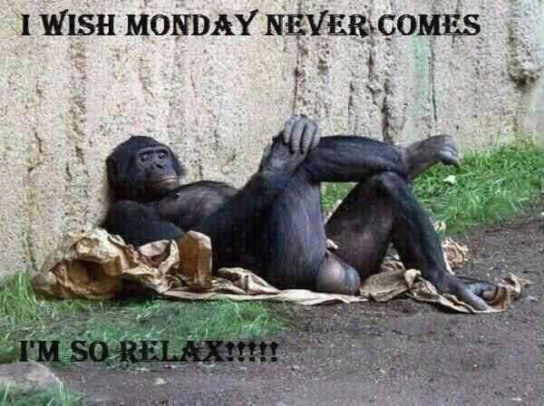 Millionaire Follower tweet media